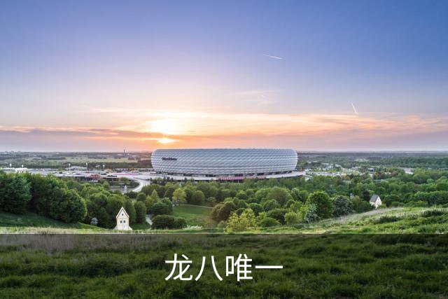 龙八唯一